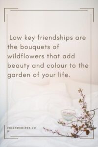 Low Key Friendship Quotes () Low Key Friendship Quotes ()