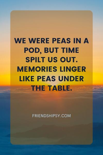 Messed Up Friendship Quotes ()