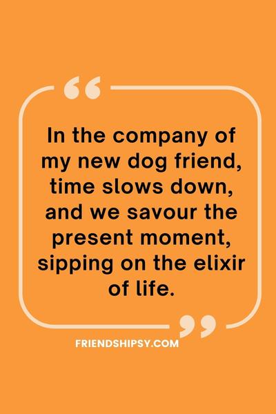 New Dog Friend Quotes () New Dog Friend Quotes ()