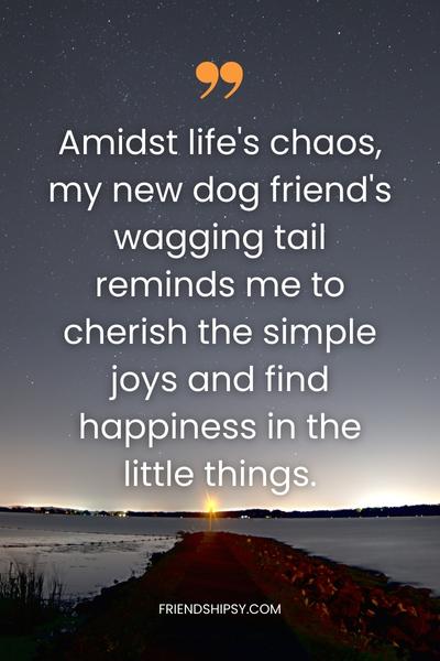 New Dog Friend Quotes () New Dog Friend Quotes ()