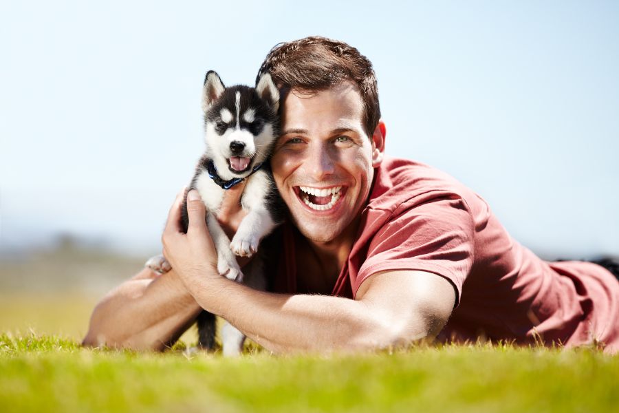 New Dog Friend Quotes