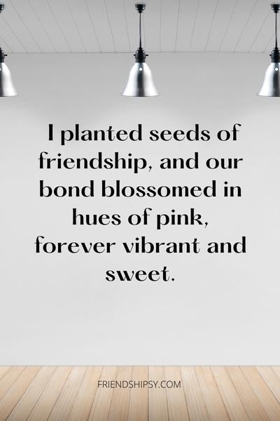 Pink Friendship Quotes ()