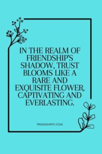 Shadow Friendship Quotes