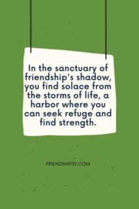 Shadow Friendship Quotes ()