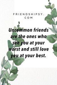 Uncommon Friendship Quotes ()