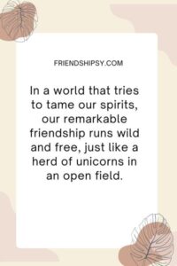 Unicorn Friendship Quotes ()